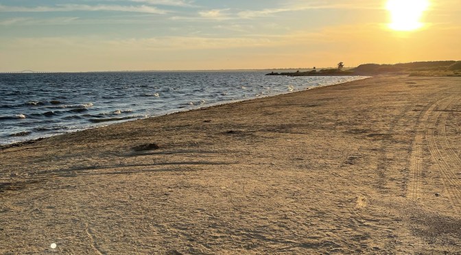 Finally Feeling Appreciative